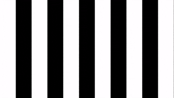 Soccer Celebration GIF by SK Sturm Graz