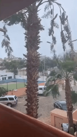 Strong Winds Blow in Baja California as Hilary Moves Through