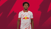 Call Me Sport GIF by RB Leipzig