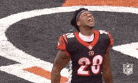 2018 Nfl Football GIF by NFL