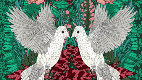 Illustration Flying GIF