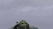Obey Music Video GIF by Bring Me The Horizon