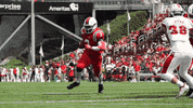 Celebrate College Football GIF by Cincinnati Bearcats