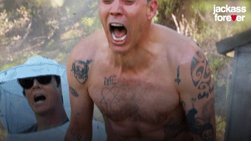 Johnny Knoxville No GIF by Jackass Forever