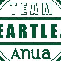 Heartleaf Sticker by Anua Skincare