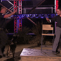 Dog GIF by A&E