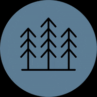 trees GIF by Local Church