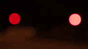 video lights GIF by Carolina Costa