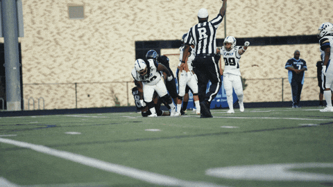 Dust Off Womens Football GIF by Women's National Football Conference