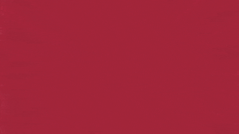 Charroslmb2025 GIF by Charros de Jalisco