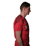Steven Zuber Switzerland Sticker by Swiss Football Association