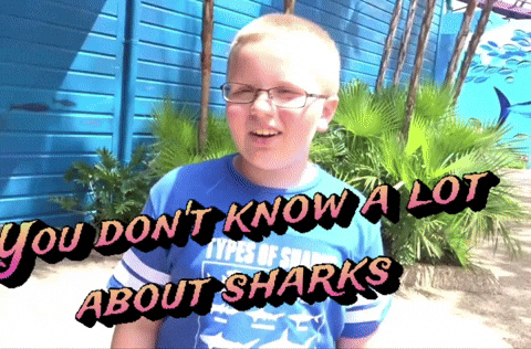 You Dont Know A Lot About Sharks GIF