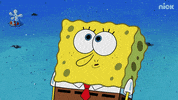 spongebob birthday special spongebobs 20th GIF by SpongeBob SquarePants