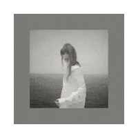 The Albatross Art Sticker by Taylor Swift