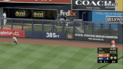 Yankees Alcs GIF by Jomboy Media