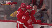 Ice Hockey Sport GIF by NHL
