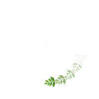 Spring Circle Sticker