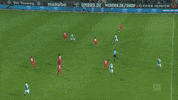 goal bundesliga GIF by SV Werder Bremen
