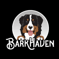 GIF by BARKHAVEN