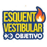 Santos Educacao Sticker by Objetivo Baixada