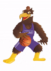 NYUADathletics gonyuad nyuadathletics sportsinabudhabi nyuadbasketball GIF