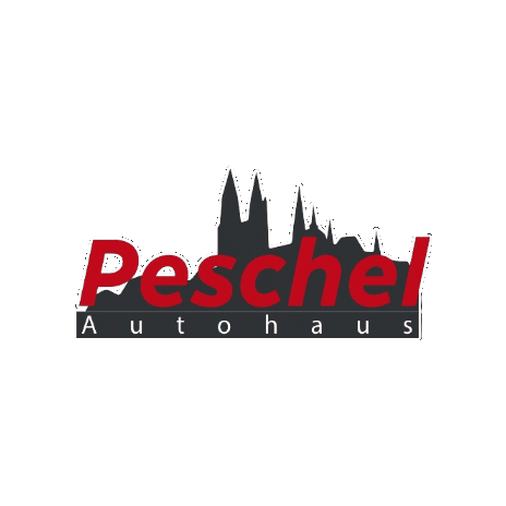 Autohausgebruederpeschel giphyupload logo autohaus meissen Sticker