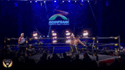 GIF by Lucha Libre AAA