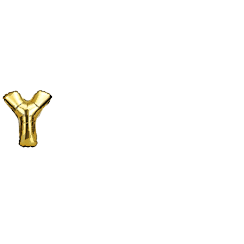 seaairuh yas balloon yasss palmer Sticker