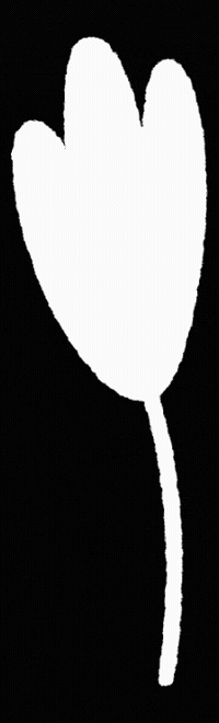 hbesocial 13 13 monjas 13monjas los13kde13monjas GIF