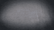 Diversification GIF