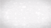 Diversification GIF