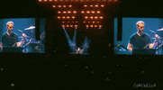 GIF by Coachella