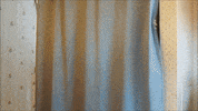 odewilliesfunkybunch awkward shower toilet bathroom GIF