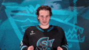 San Jose Finger Guns GIF by San Jose Barracuda