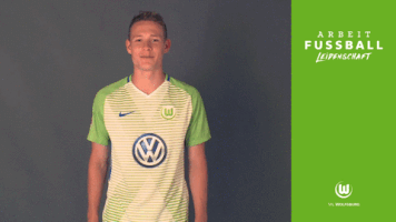 bundesliga wolves GIF by VfL Wolfsburg