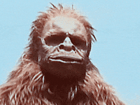 monster bigfoot GIF