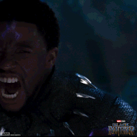 Black Panther Wakanda Forever GIF by Marvel Studios