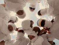 Screaming Music Video GIF by A$AP Rocky