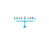 Happy Hanukkah GIF by Metziahs