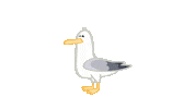 Bird Sticker by Allie the Ellie