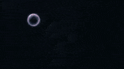 Umamusume Uma GIF