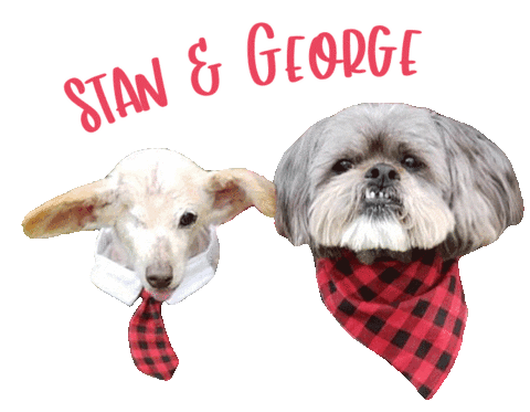 Dog Stan Sticker