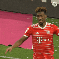 Football Soccer GIF by FC Bayern Munich