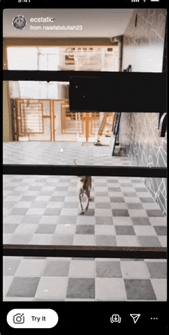 naiefshakil giphygifgrabber GIF