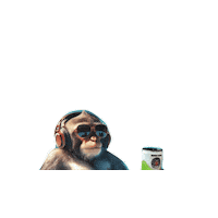 Drinknoevil Sticker by Snow Monkey