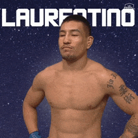 pflmma mma brazil espn pfl GIF