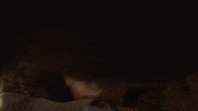 GIF by Annabelle Comes Home