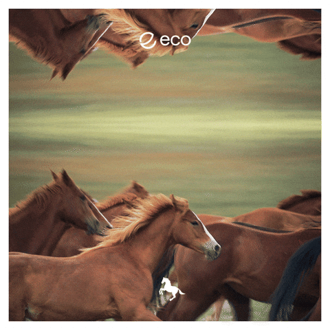 To The Moon Crypto GIF by Eco