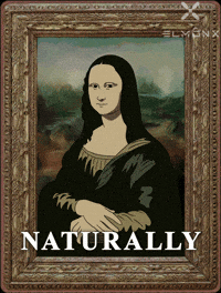 Mona Lisa What GIF by ElmonX