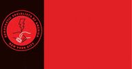 nycDSA dsa nycdsa public power public utilities GIF